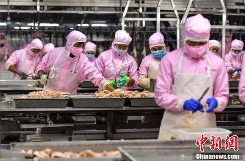综合布线:企业网络建设的基石